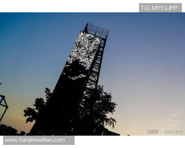 成都街舞队耐力争议引发热议舞者们的坚持与挑战交织成何种风景