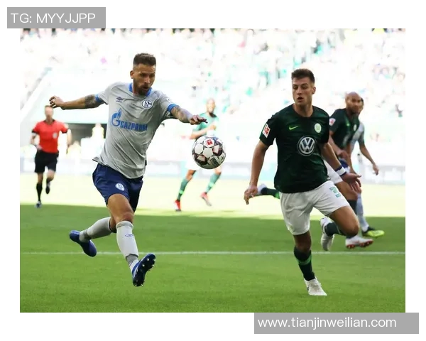 沙尔克04成功反弹击败沃尔夫斯堡取得胜利 沙尔克04成功反弹击败沃尔夫斯堡取得胜利