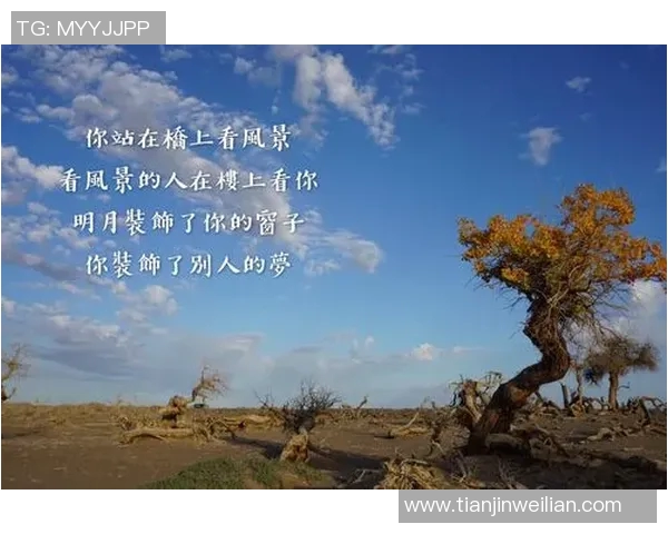 滑板人生的追逐与坚持吴强的成长故事与心路历程